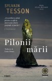 Pilonii marii, Trei