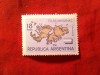 Timbru Argentina 1964 - Harta - I-le Malvine , 18p, Nestampilat