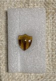 Insigna fotbal FC Argeș