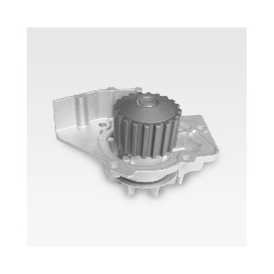 Pompa apa Hepu P841 foto