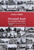 Oraşul Iaşi &icirc;n evocări literare: de la Costache Negruzzi la Geo Bogza - 2016 - Diana Vrabie (O99)