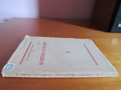 Lascarov-Moldovanu - Schitul cu plopi foto