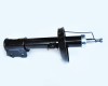 Amortizor Fata Dr. 50601 NGH 02.01.103R