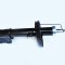 Amortizor Fata Dr. 50601 NGH 02.01.103R