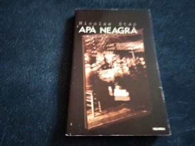 NICOLAE STAN - APA NEAGRA foto