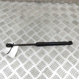 Amortizor capota st&acirc;nga față AUDI A6 Avant 4G5, C7, 4GD 2017 OEM: 4G8823359A 27766132