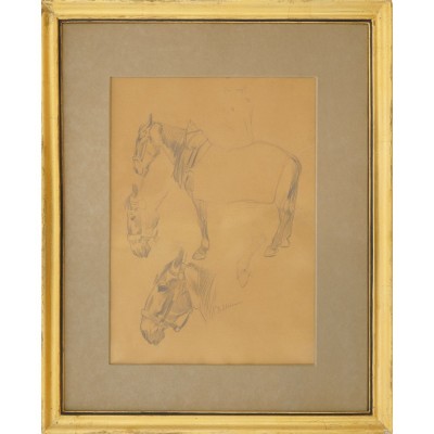 Ion Stoica Dumitrescu - Studii foto