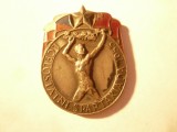 Insigna - Prima Spartakiada 1955 Cehoslovacia ,argintata , cu email ,h=3,8cm, fara ac