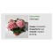 Blo.Hortensia Circus Pink 28