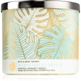 Bath &amp; Body Works Warm Ocean lum&acirc;nare parfumată 411 g