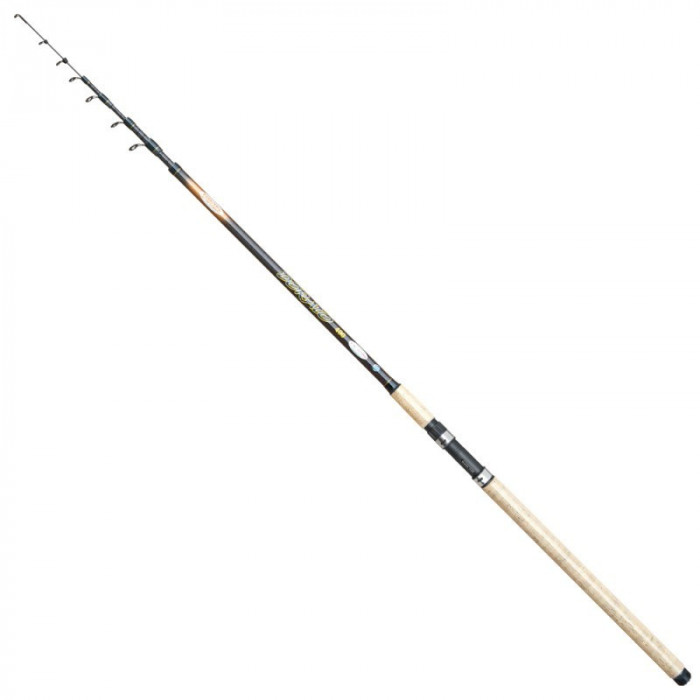 Lanseta carbon stationar Baracuda Dorato 4.0 m A: 90 g