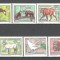 D.D.R.1980 Animale pe cale de disparitie SD.469