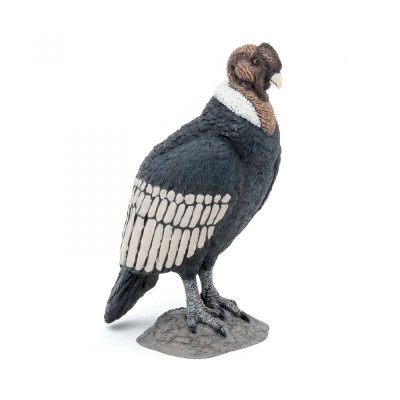 PAPO FIGURINA CONDOR foto