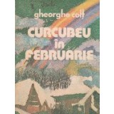 Curcubeu in februarie