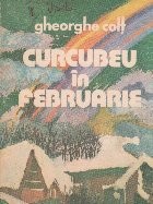 Curcubeu in februarie foto