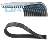 DAYCO 12PK1950HD Curea transmisie cu caneluri