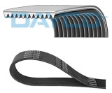DAYCO 12PK1835HD Curea transmisie cu caneluri