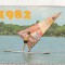 bnk cld Calendar de buzunar 1982 - ONT Litoral - windsurfing