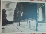Carte postala, Scoala Centrala de Fete din Bucuresti.. Latura sccolii dinspre gradina Icoanei, perioada interbelica