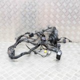 Cablaj Usa Stanga Fata BMW X3 G01 F97 2019 Original 13846491