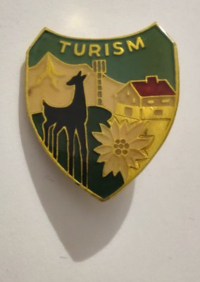 Insigna - Turism - Floare de colt foto