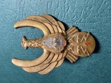 Insigna Transmisionist Cl 1 aviatie militara 1977 1989 RSR varianta auriu