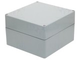 Carcasă universală RAYCHEM RPG 250mm x 255mm x 160mm poliester gri