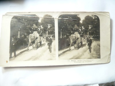 FOTOGRAFIE STEREOSCOPICA ,1903 -Paris Plimbare pe elefant -lipita sus foto