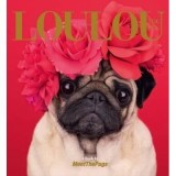 Loulou the Pug
