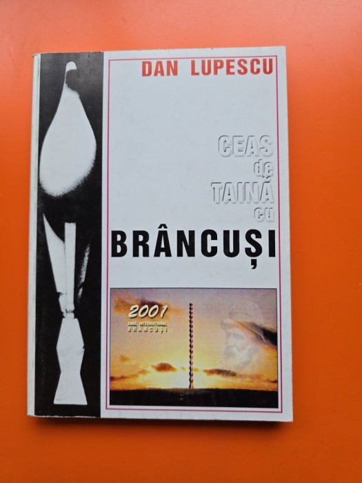 Ceas de taină cu Br&acirc;ncuși - Dan Lupescu