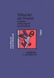 Tulburari ale Sinelui. O abordare axatata pe tipurile de personalitate de Marshall L. Silverstein
