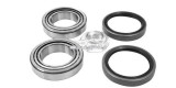 Set rulment roata PEUGEOT BOXER platou / sasiu (ZCT) (1994 - 2002) RINGER 1141006094