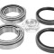 Set rulment roata PEUGEOT BOXER platou / sasiu (ZCT) (1994 - 2002) RINGER 1141006094