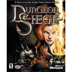 Dungeon Siege foto