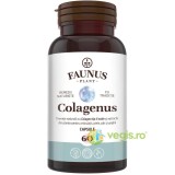 Colagenus 60cps