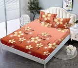 Cearceaf din Finet cu Elastic 160x200 + 2 fete de perna CDF11097