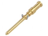 Pin tată cupru aurit 0,14-0,37mm2 26AWG-22AWG CD 10A