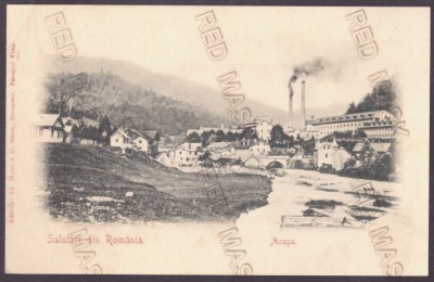 4098 - AZUGA, Prahova, Litho, Romania - old postcard - unused foto