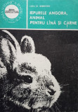 Liviu St. Rebreanu - Iepurele Angora, animal pentru lana si carne (Editia: 1984)