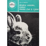 Liviu St. Rebreanu - Iepurele Angora, animal pentru lana si carne (Editia: 1984)