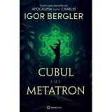 Cubul lui Metatron. Continuarea bestsellerului Apocalipsa dupa Charles - Igor Bergler