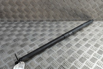 Amortizor haion dreapta TESLA MODEL X 2020 OEM: 1129698-00-A | 31670310 foto