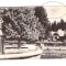 CP Borsec - Vedere din parc, RPR, circulata 1958, animata, mica pata