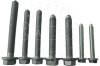 AIC 56376 Calitatea originală AIC Set montare, legatura