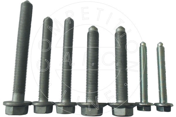 AIC 56376 Calitatea originală AIC Set montare, legatura