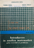 Introducere In Analiza Matematica Prin Exercitii Si Probleme - Constantin Popa, Viorel Hiris, Mihail Megan ,558971
