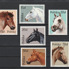 POLONIA - FAUNA - CAI ( MI PL 3190-3195 ) 1989 MNH