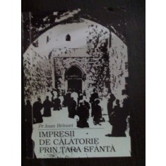 Impresii de calatorie prin tara sfanta Ioan Brinzei