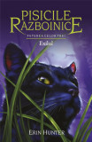 Pisicile Razboinice - Vol 15 - Puterea celor trei Exilul