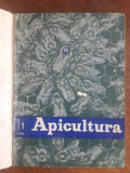 Revista Apicultura, 12 numere, an complet 1970 / R3P3F, Alta editura